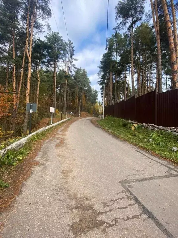 Участок в Ленинградская область, Всеволожский район, Бугровское ... - Фото 0