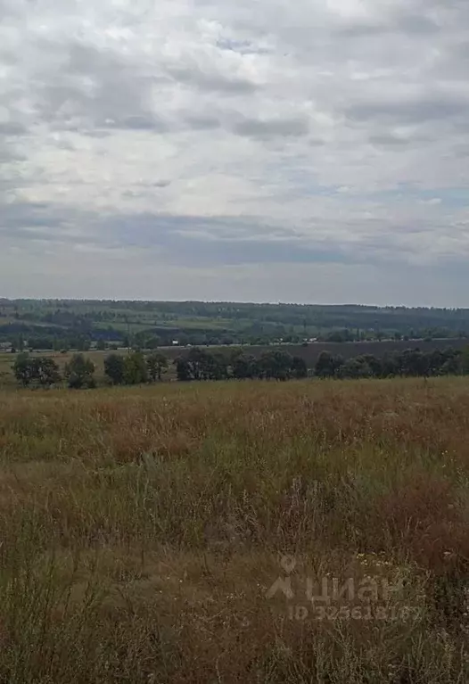 Участок в Самарская область, Красноярский район, Светлое Поле с/пос, ... - Фото 2