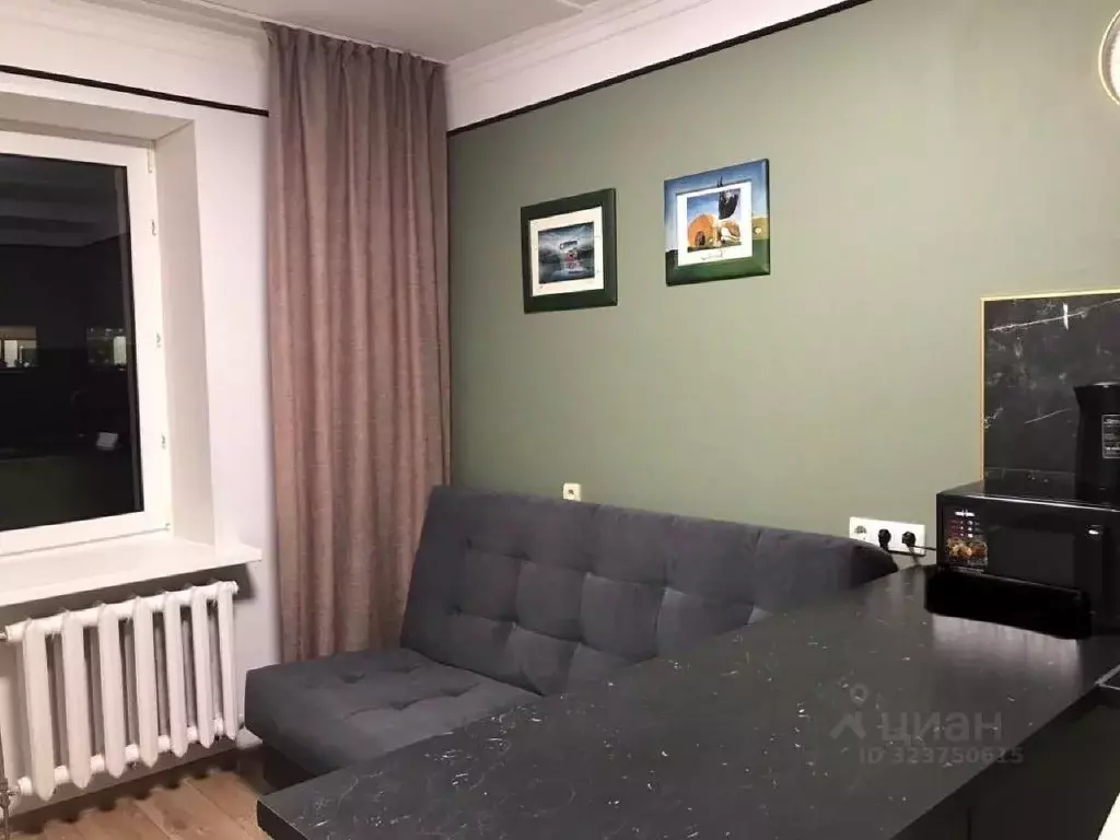 1-к кв. Московская область, Домодедово Центральный мкр, ул. Кирова, ... - Фото 2