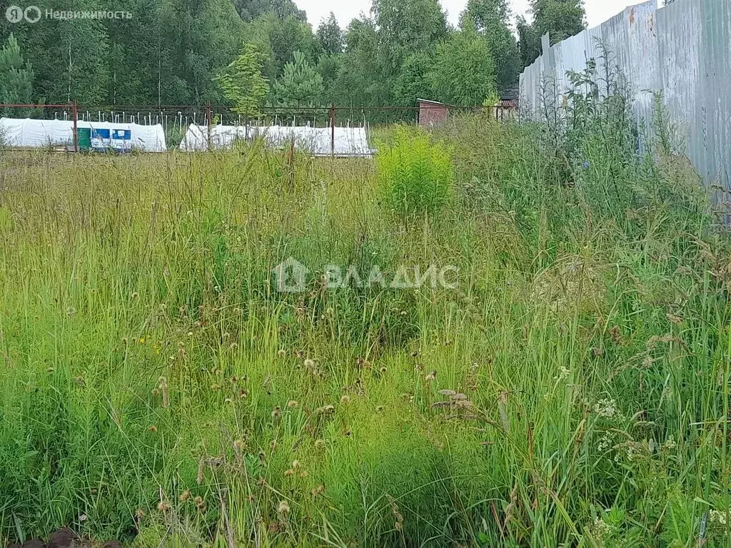 Участок в Нижегородская область, Богородский муниципальный округ, ... - Фото 0