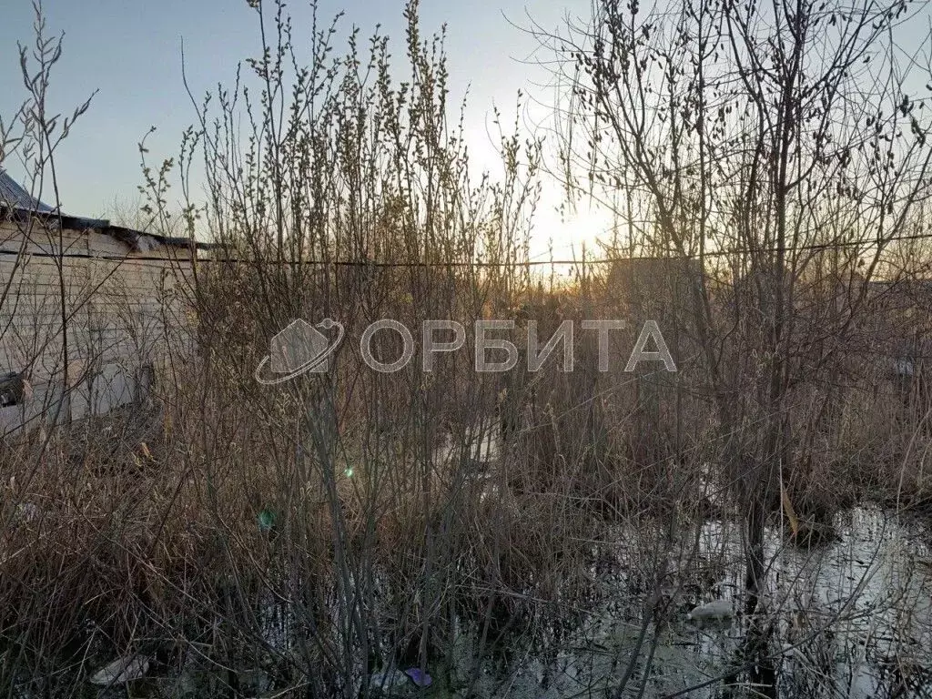 Участок в Тюменская область, Тюмень 4-й Салаирского тракта км (7.51 ... - Фото 1