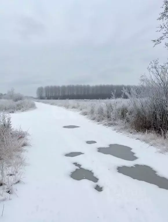 Участок в Тульская область, Тула городской округ, д. Медвенка, ... - Фото 2