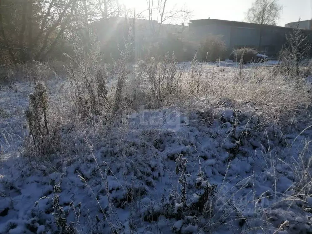 Участок в Новосибирская область, Коченевский район, Садовые участки  ... - Фото 2