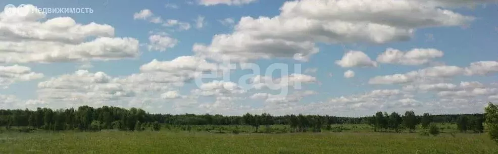 Участок в Можайский городской округ, деревня Люльки (10 м) - Фото 1