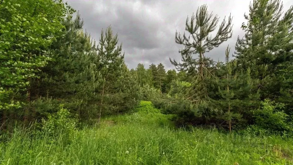 Участок в Московская область, Красногорск городской округ, д. ... - Фото 2