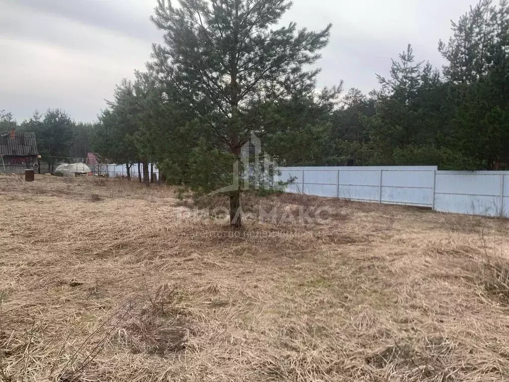 Участок в Брянская область, Брянск Большое Полпино пгт, ул. ... - Фото 2