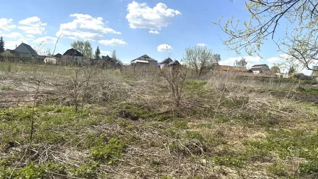 Участок в Ульяновская область, Тереньгульский район, Подкуровское ... - Фото 1