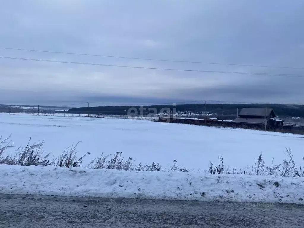 Участок в Нижегородская область, Дальнеконстантиновский муниципальный ... - Фото 1