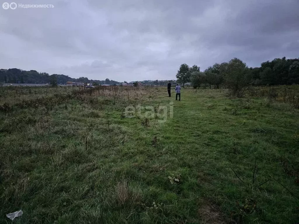 Участок в Назрановский район, сельское поселение Барсуки, село Барсуки ... - Фото 0