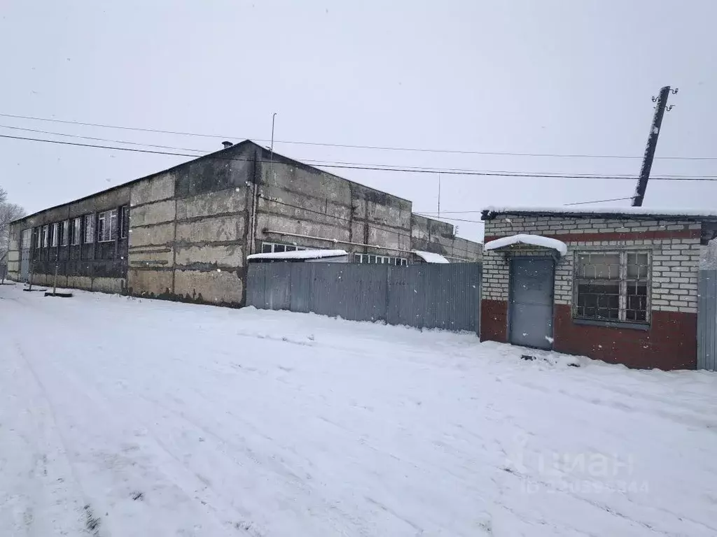Производственное помещение в Калужская область, пос. Бабынино ул. ... - Фото 0