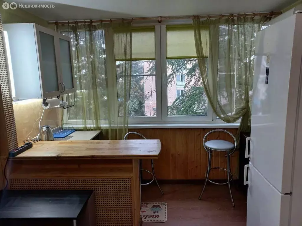 Квартира-студия: Адлер, улица Голубые Дали, 69 (15 м) - Фото 2