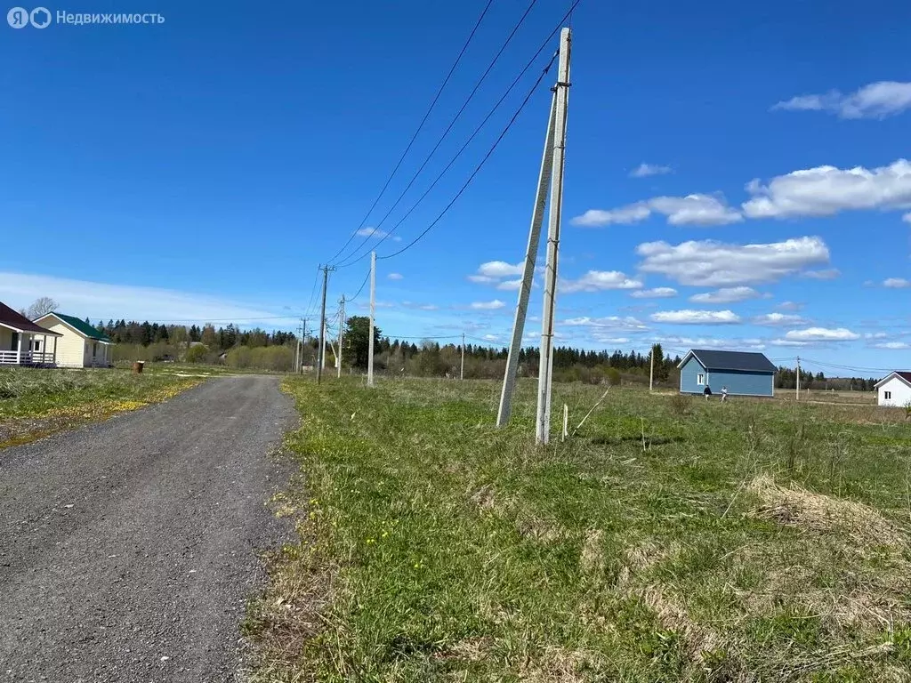 Участок в Клопицкое сельское поселение, деревня Сельцо, садовое ... - Фото 1