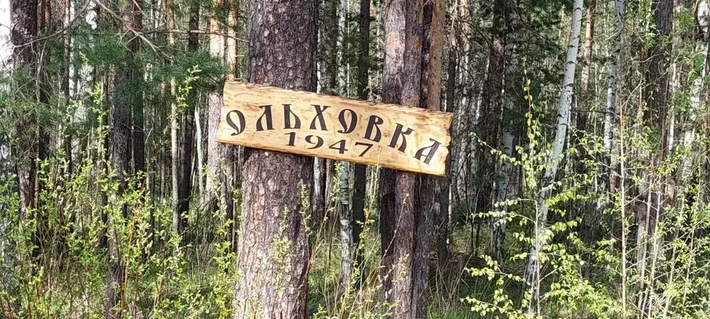 Дом в Свердловская область, Верхняя Пышма городской округ, пос. ... - Фото 1