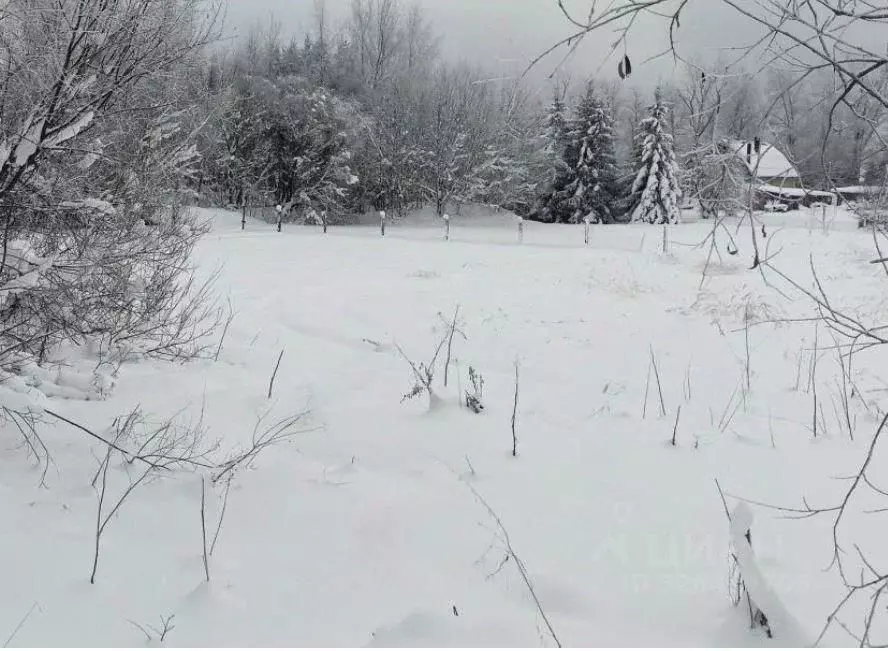 Участок в Московская область, Дмитровский муниципальный округ, д. ... - Фото 0