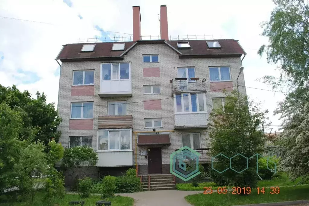 1-комнатная квартира: посёлок Васильково, Калининградская улица, 39 ... - Фото 1