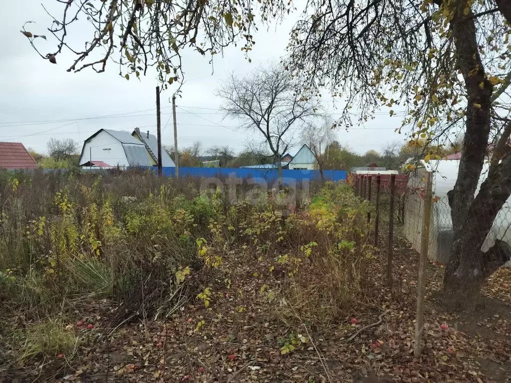 Участок в Смоленская область, Смоленск Жигули СНТ,  (6.1 сот.) - Фото 2