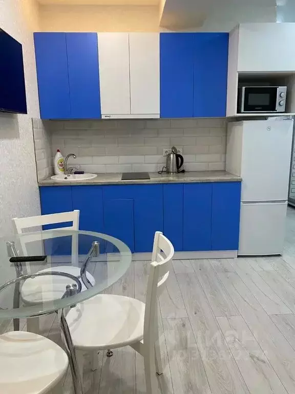 Студия Краснодарский край, Сириус пгт ул. Цветочная, 15/21 (26.0 м) - Фото 1