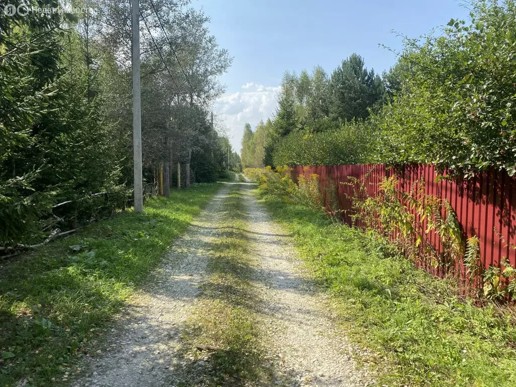 Участок в Тульская область, городской округ Тула, село Борщевка (100 ... - Фото 0