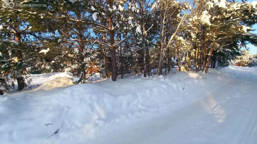 Участок в Калужская область, Жуковский муниципальный округ, деревня ... - Фото 2