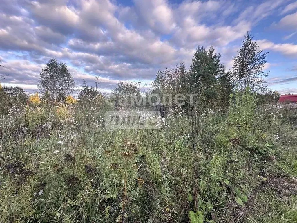 Участок в Свердловская область, Березовский городской округ, пос. ... - Фото 1