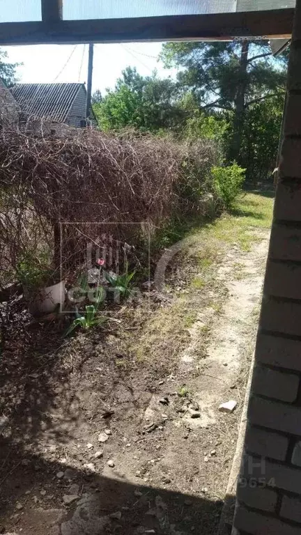 Дом в Воронежская область, Воронеж Тенистый мкр, ул. Березовая (46 м) - Фото 1