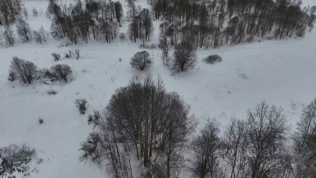 Участок в Московская область, Волоколамский муниципальный округ, д. ... - Фото 1