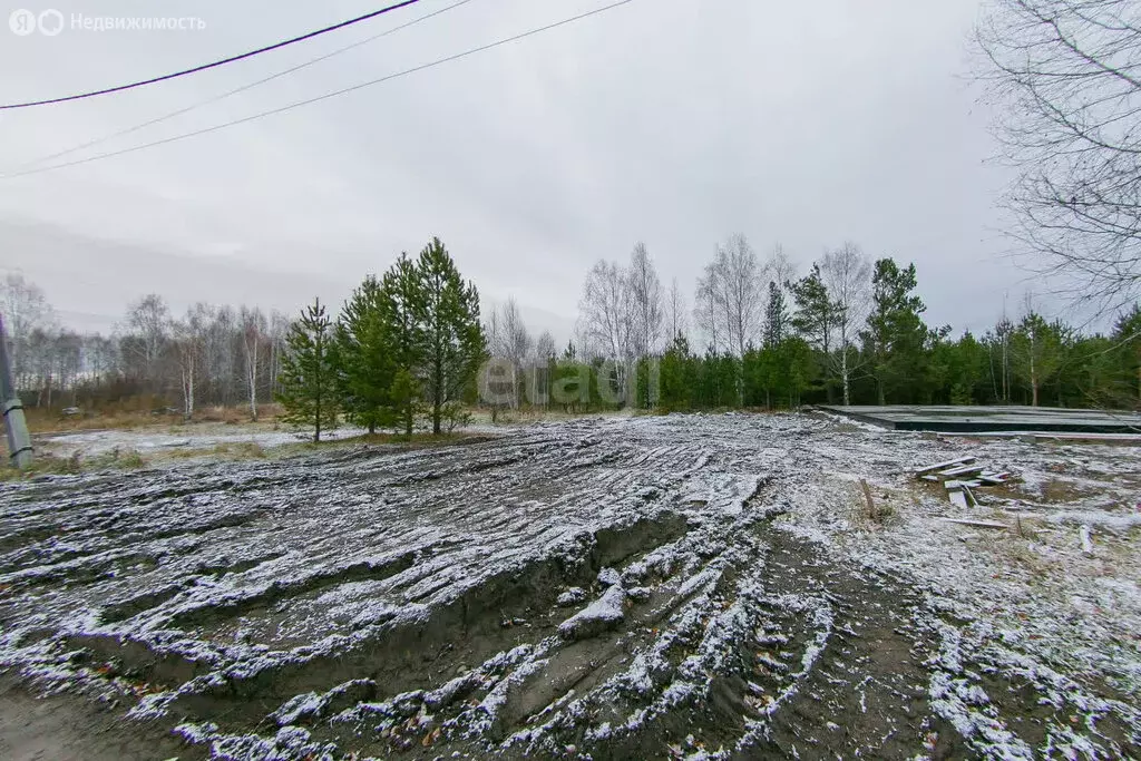 Участок в Томский район, Зоркальцевское сельское поселение, село ... - Фото 1