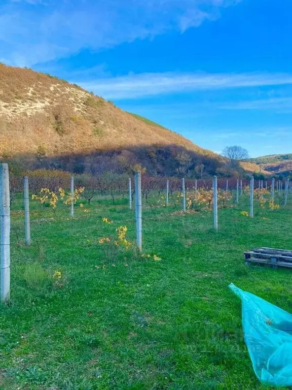 Участок в Севастополь с. Терновка, ул. Школьная (107.0 сот.) - Фото 1
