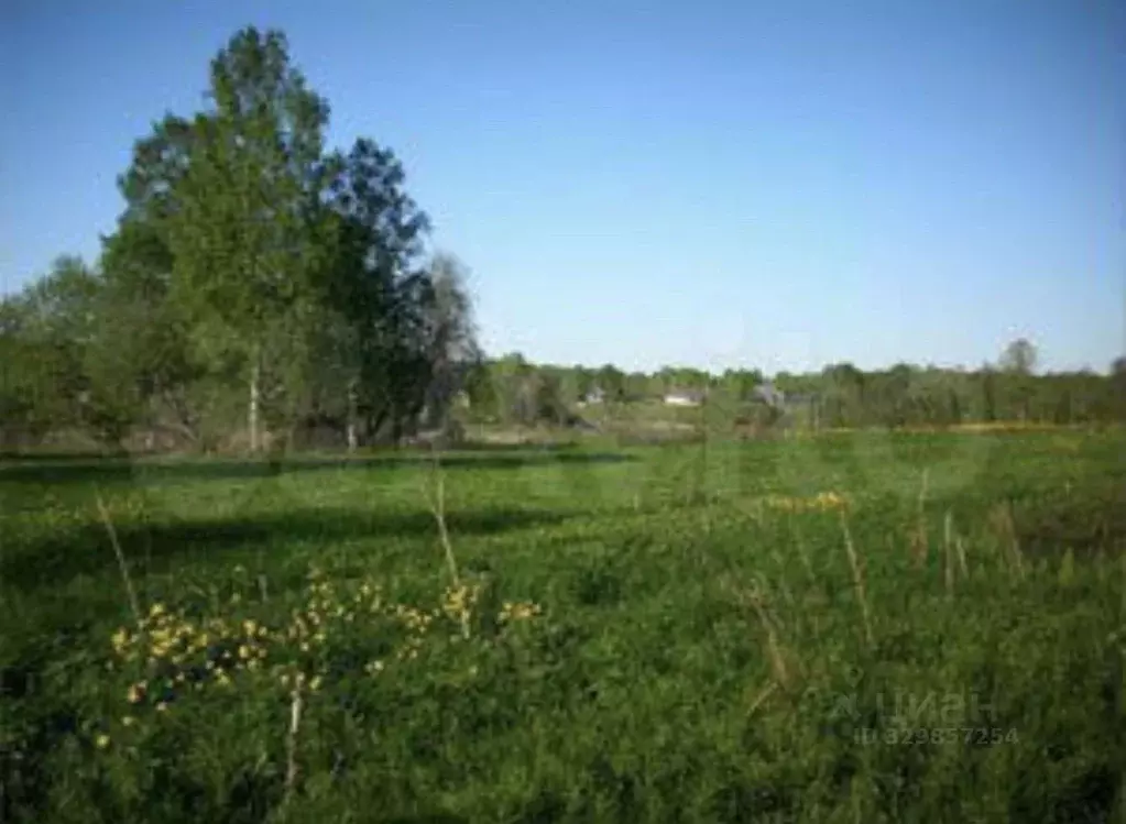 Участок в Новгородская область, Валдайский муниципальный район, ... - Фото 1