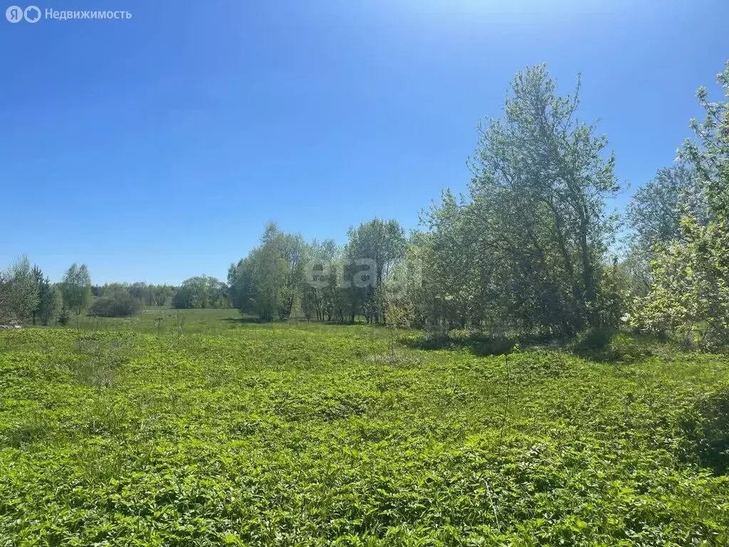 Участок в Тверская область, Калининский муниципальный округ, деревня ... - Фото 0