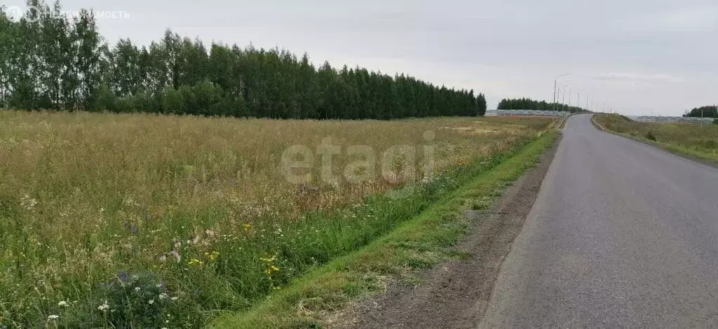 Участок в Лаишевский район, село Кирби (10.2 м) - Фото 2