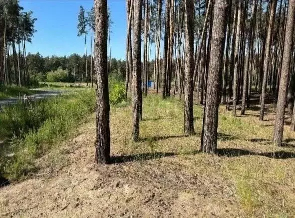 Участок в Белгородская область, Белгородский район, Поселок Разумное ... - Фото 1