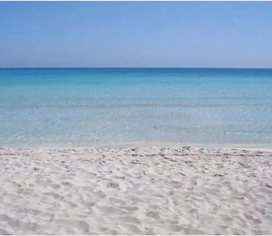 Участок в Крым, Черноморский район, с. Межводное ул. Цветочная (10.0 ... - Фото 1