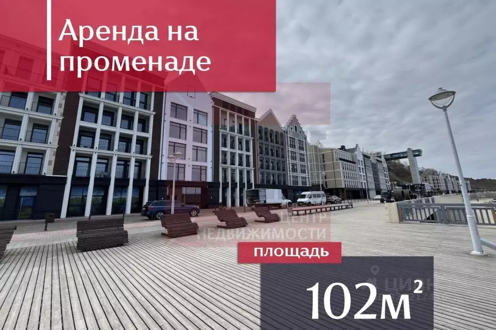 Помещение свободного назначения в Калининградская область, Светлогорск ... - Фото 2
