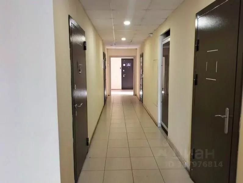 Офис в Нижегородская область, Нижний Новгород ул. Пискунова, 29 (76 м) - Фото 2