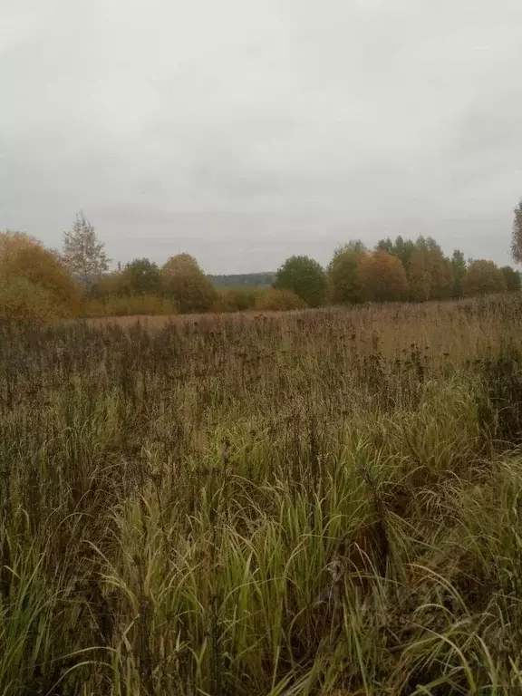 Участок в Московская область, Солнечногорск городской округ, д. ... - Фото 0