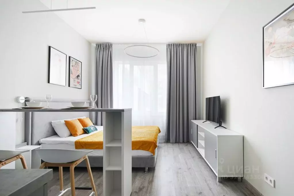 Студия Санкт-Петербург Витебский просп., 99к1 (25.0 м) - Фото 2