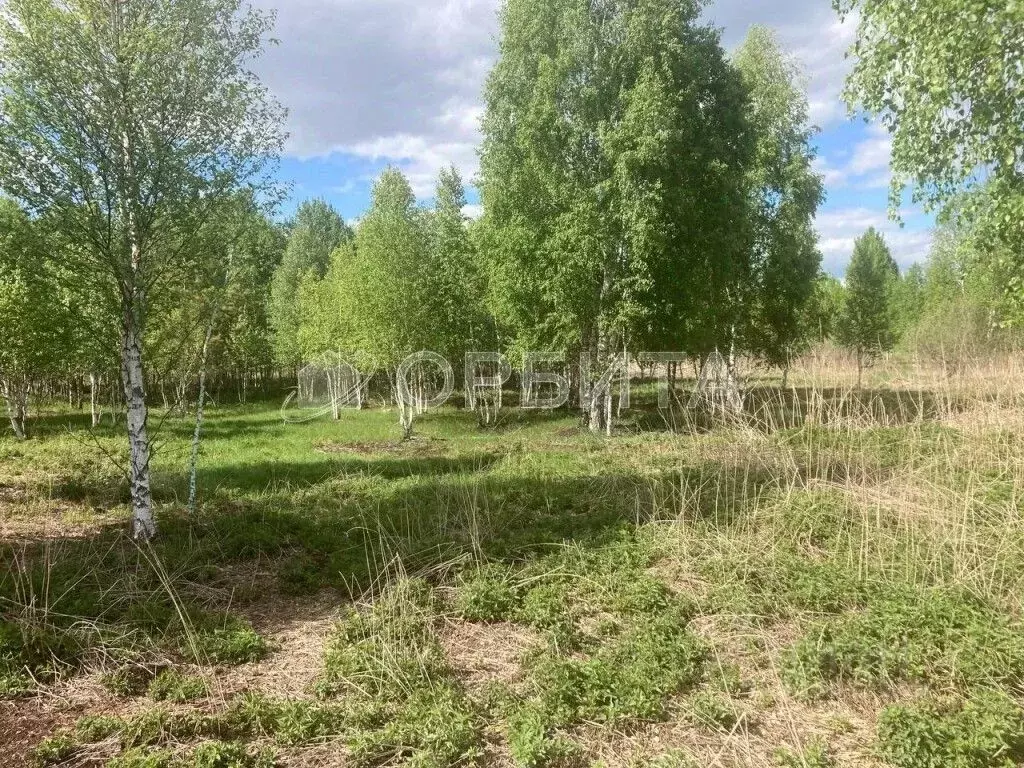 Участок в Тюменская область, Нижнетавдинский муниципальный округ, У ... - Фото 1