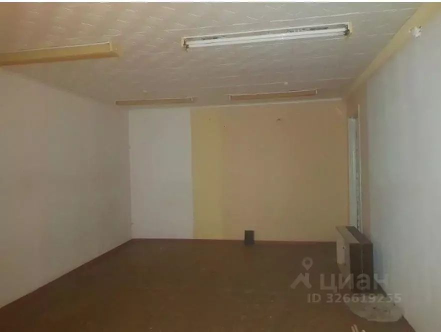 Помещение свободного назначения в Томская область, Томск просп. ... - Фото 2