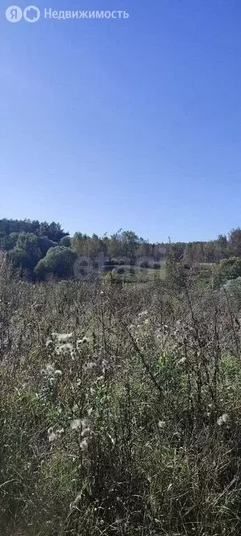 Участок в Калужская область, Дзержинский муниципальный округ, сельское ... - Фото 2