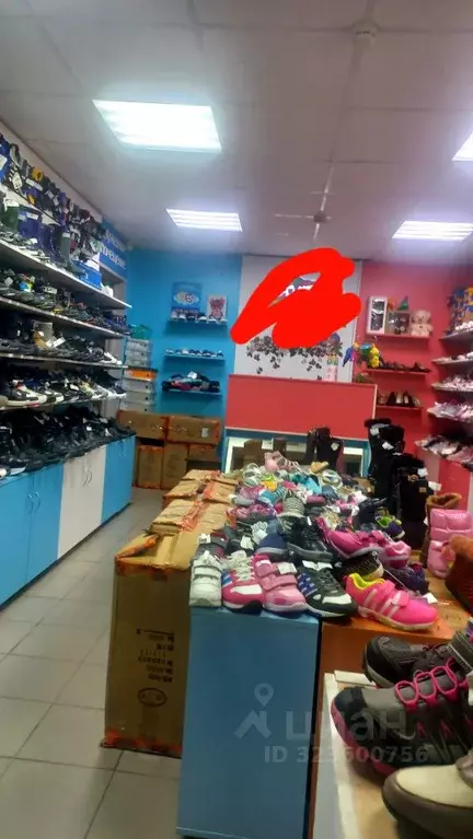 Помещение свободного назначения в Саратовская область, Саратов ул. ... - Фото 2