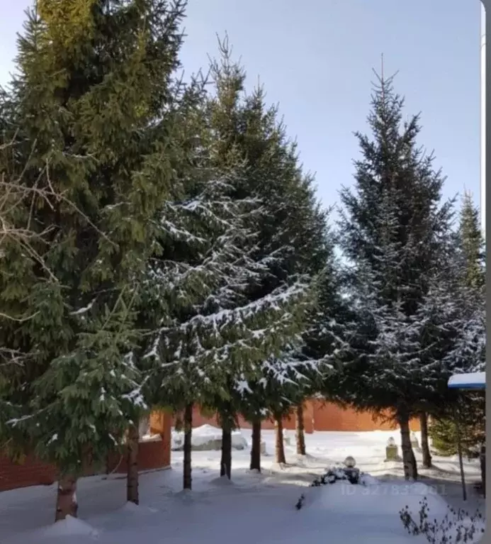 Дом в Омская область, Омск СОСН Заря-3 тер., аллея 5-я (41 м) - Фото 2