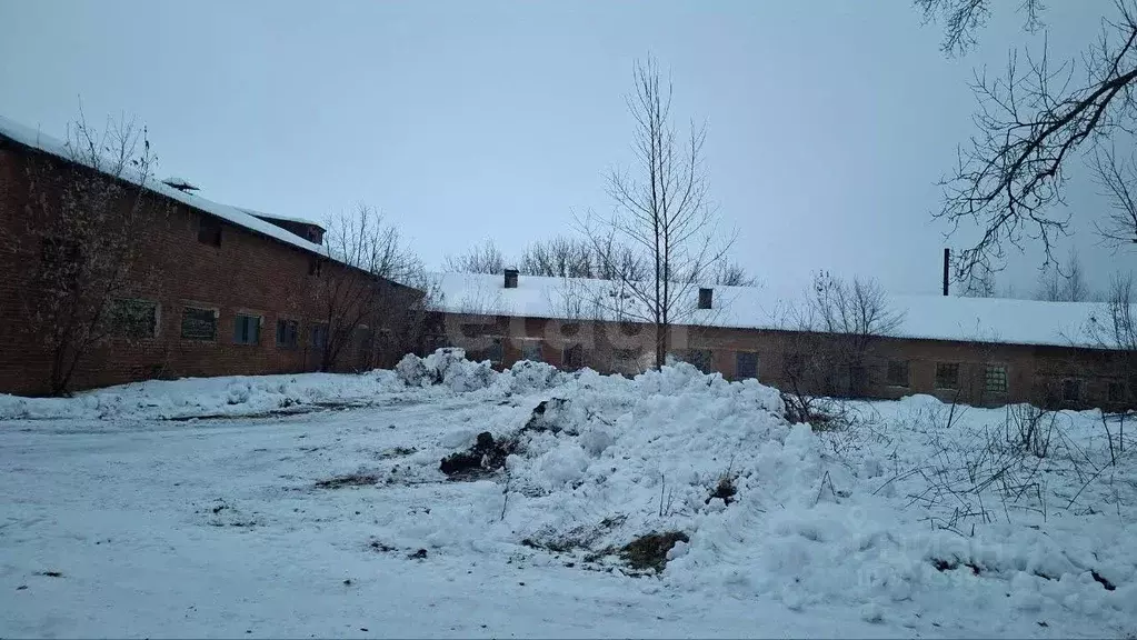 Склад в Новосибирская область, Ордынский район, пос. Чернаково ул. ... - Фото 1