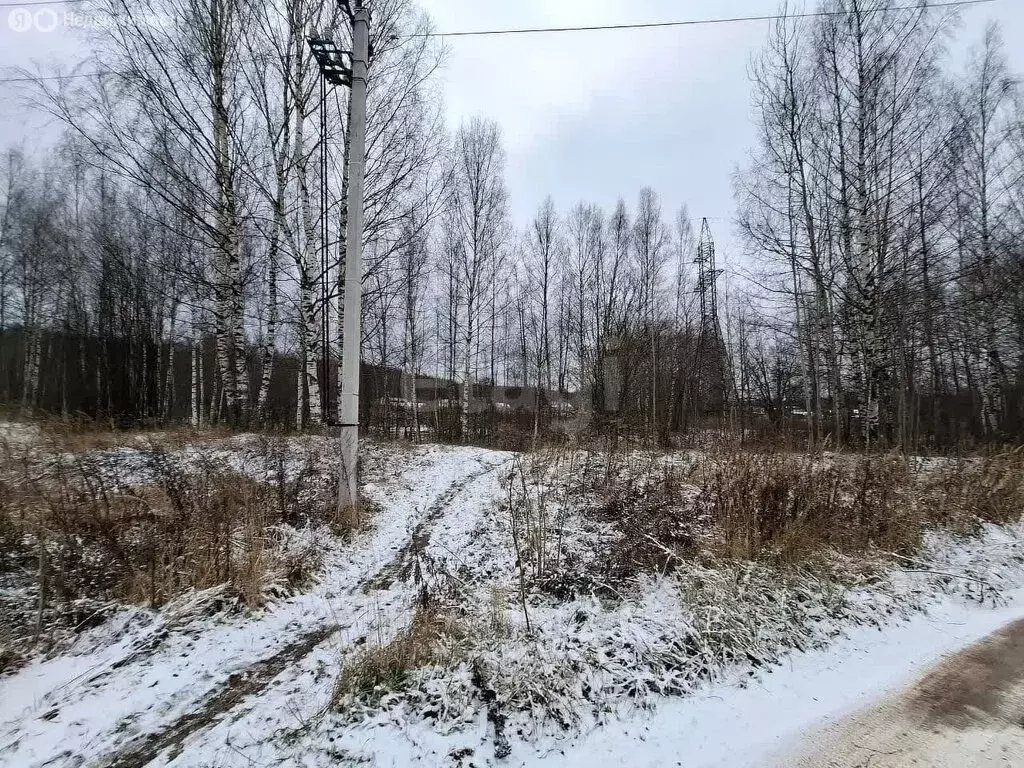 Участок в Кострома, Заволжский район (1154.33 м) - Фото 1