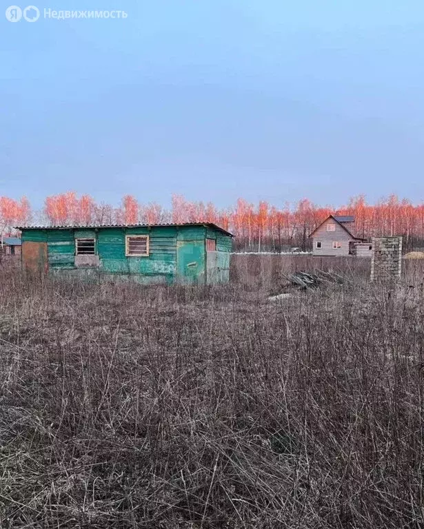 Участок в Орловский муниципальный округ, деревня Усть-Рыбница (12.56 ... - Фото 1