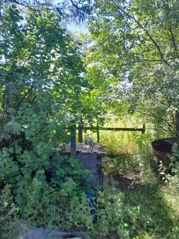 Участок в Комсомольский район, СНТ Амурские зори (10 м) - Фото 0