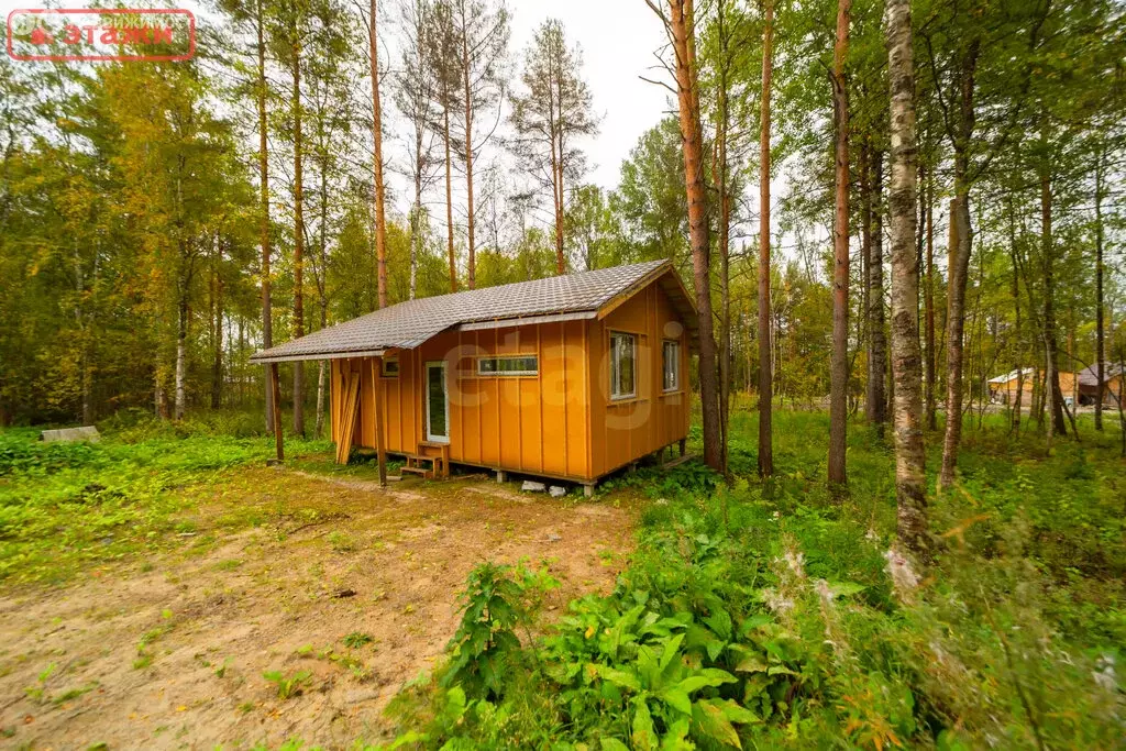Дом в село Кончезеро, Солнечная улица (53.8 м) - Фото 2
