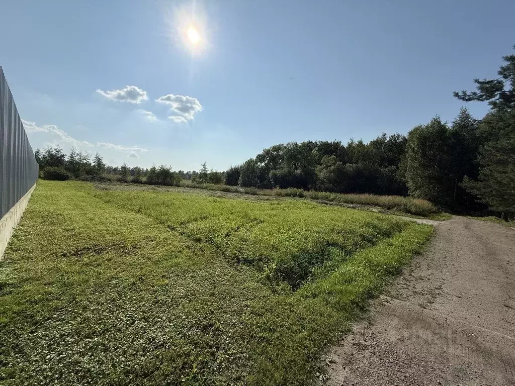 Участок в Московская область, Подольск городской округ, д. Дмитрово  ... - Фото 2