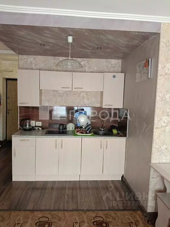 Студия Новосибирская область, Новосибирск Выборная ул., 99/4 (25.0 м) - Фото 1