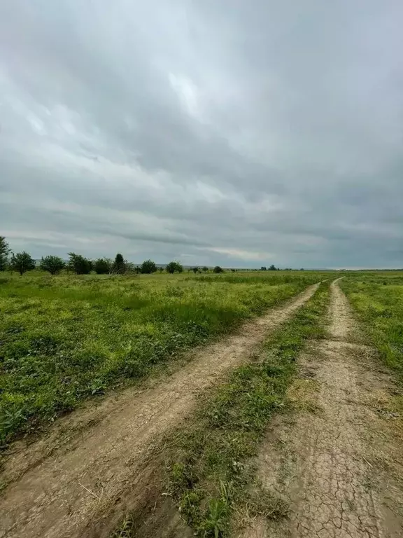 Участок в Чеченская республика, Грозный просп. Мохаммеда Али (6.0 ... - Фото 0